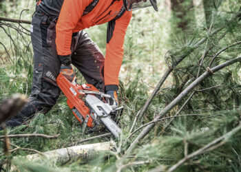 Kur nukeliauja seniūnijų tvarkoma mediena?