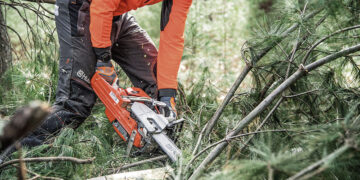 Kur nukeliauja seniūnijų tvarkoma mediena?