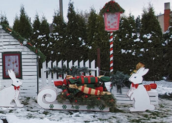 Nukentėjo zuikių rogės