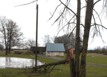 Šiauriausią seniūniją talžo vėjas ir miškovežiai