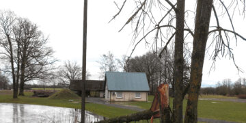 Šiauriausią seniūniją talžo vėjas ir miškovežiai