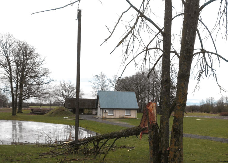Šiauriausią seniūniją talžo vėjas ir miškovežiai