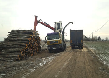 Vabalninko seniūnui pritrūko lankstumo