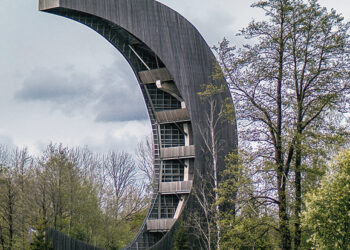 Ar balandžius iš bokšto vaikys sakalai?