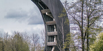 Ar balandžius iš bokšto vaikys sakalai?