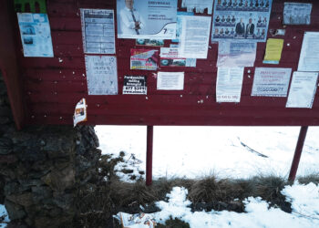 Naujoji politinė (ne) kultūra