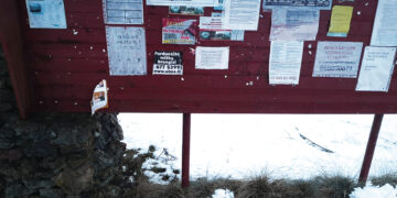 Naujoji politinė (ne) kultūra