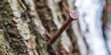 Plakatai ant medžių pritvirtinti vinimis