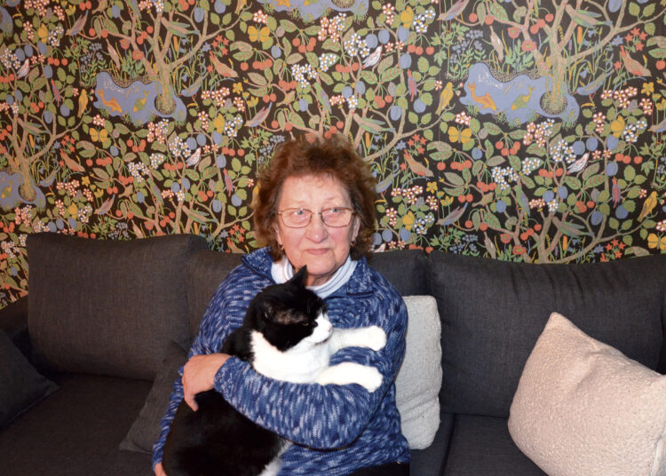 Zinaidos gyvenimo audinys