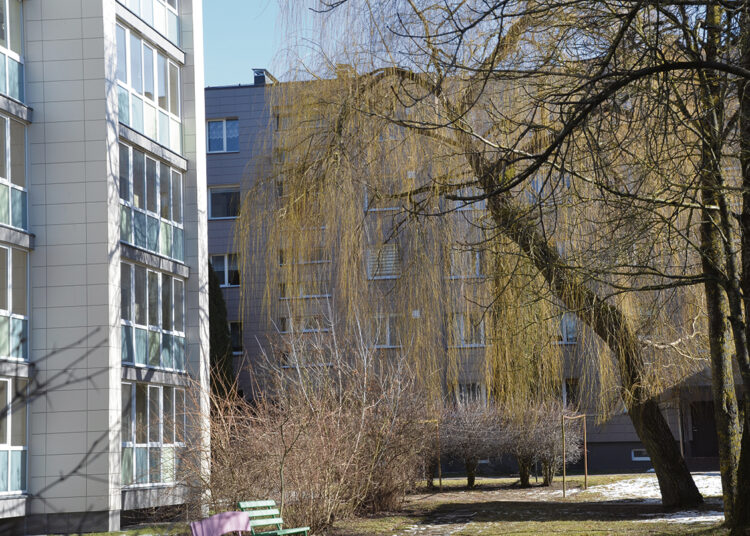 Kiek reikia laiko, popierių ir pajėgų žilvičiui kirsti?