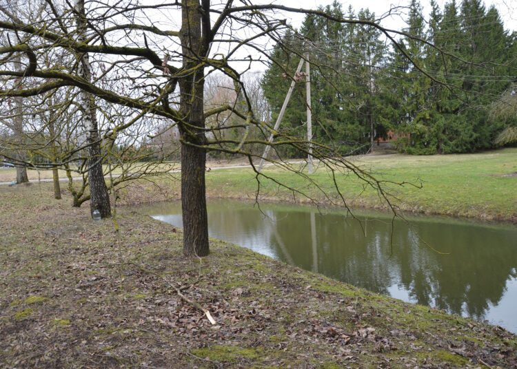 Skendusio žmogaus atgaivinti nepavyko