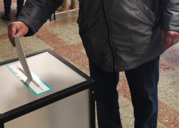 Politiniai rinkėjų vežėjai