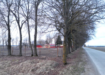 Vaizdo stebėjimo kamerų įjungimas užtruko dvejus metus