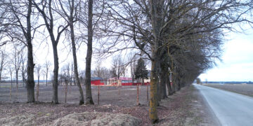 Vaizdo stebėjimo kamerų įjungimas užtruko dvejus metus