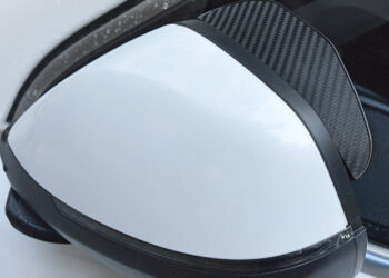 Vėl užšoko ant automobilio