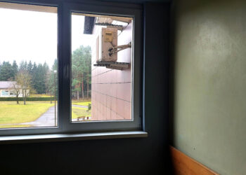 Išlipo pro ligoninės langą