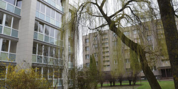 Žilvitis žaliuoja, seniūnija planuoja…