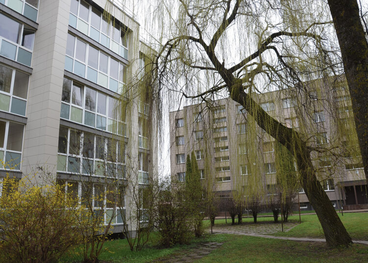 Žilvitis žaliuoja, seniūnija planuoja…