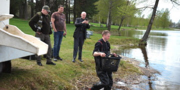 Biržiečių nupirktos žuvys įleistos į Širvėną