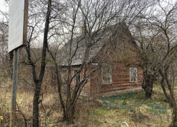 Iki galo nepaveldėta sodyba bado akis