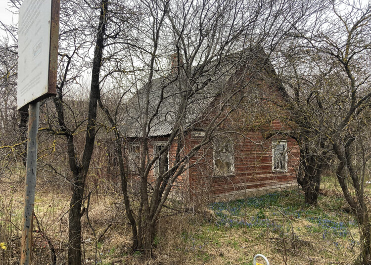 Iki galo nepaveldėta sodyba bado akis