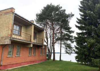 Draugijos pastatą greičiausiai parduos