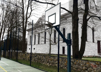 Dvi nuomonės apie krepšinį