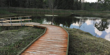 Kirkiluose pūva pėsčiųjų takelių lentos