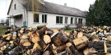Etato mažinimas – žingsnis į bibliotekos padalinio uždarymą?