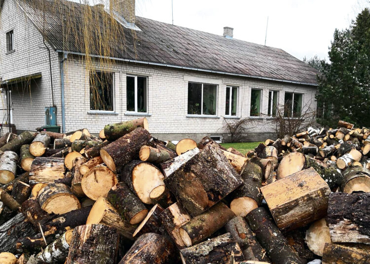 Etato mažinimas – žingsnis į bibliotekos padalinio uždarymą?