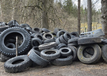 Pavasarinis šiukšlių dygimo metas