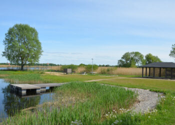 Brangus paežerės objektas Rinkuškiuose – niekieno zona?