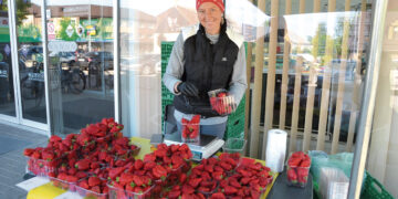 „Suosto uoga“ – skonis ir kvapas