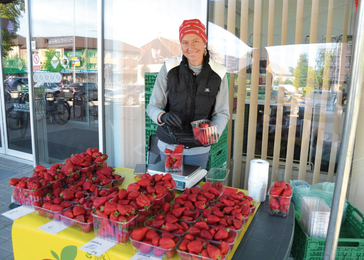 „Suosto uoga“ – skonis ir kvapas