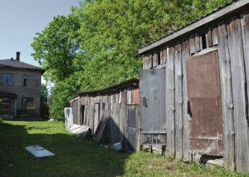 Pagrobtoji rasta sandėliuke