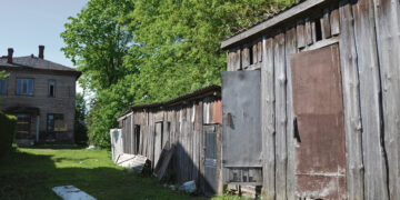 Pagrobtoji rasta sandėliuke
