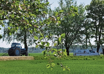 Po avarijos prašo riboti greitį