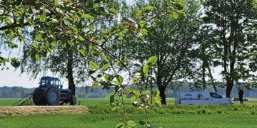 Po avarijos prašo riboti greitį