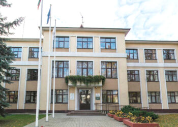 Svarbiausias darbas – komitetų sudarymas