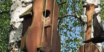 Senose gitarose peri varnėnai