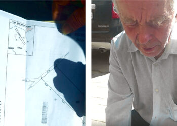 Nežino, kaip susitarti su pievos niokotoju