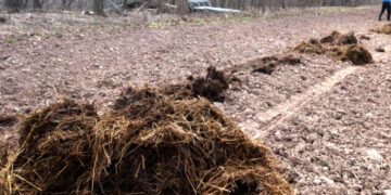 Tręšdami laukus rado žmogaus kaulus