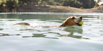 Nuo pirmadienio prasidės maudyklų stebėsena