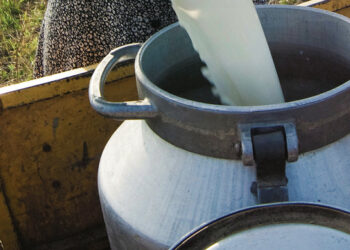 Nyksta pieno ūkiai ir punkteliai