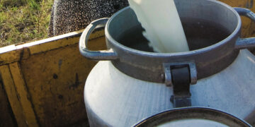 Nyksta pieno ūkiai ir punkteliai