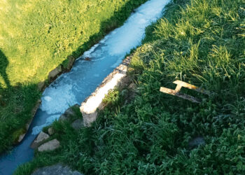 Per Medeikius pieno upės plaukia