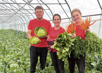 Oranžinės ir raudonos vitaminų „puokštės“ – iš biržiečių ūkio