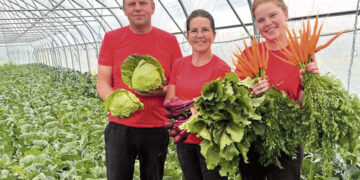 Oranžinės ir raudonos vitaminų „puokštės“ – iš biržiečių ūkio