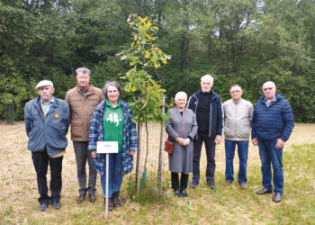 Piknikas sąjūdiečiams