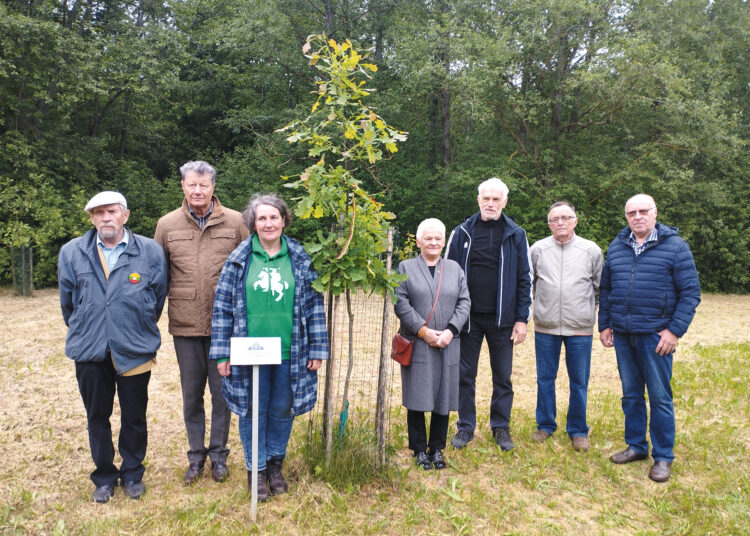 Piknikas sąjūdiečiams